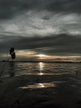 错过一次，就再也见不到” 