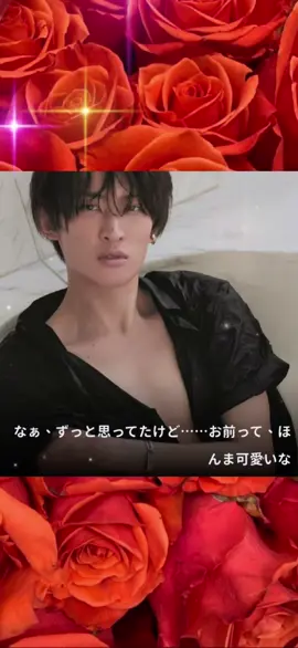 向井くんからの口説かれボイス🧡 リクエストで『男らしい向井くん』が多かったので作りました… うん…この向井くんも最高…👼💫 #向井康二 #向井康二担に届け #康二くん #SnowMan 