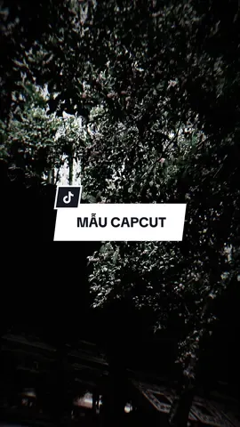 #CapCut Nhạc này cuốn vãi ò này mấy ní =)) #capcutmaster #xuhuong #nhachaymoingay 