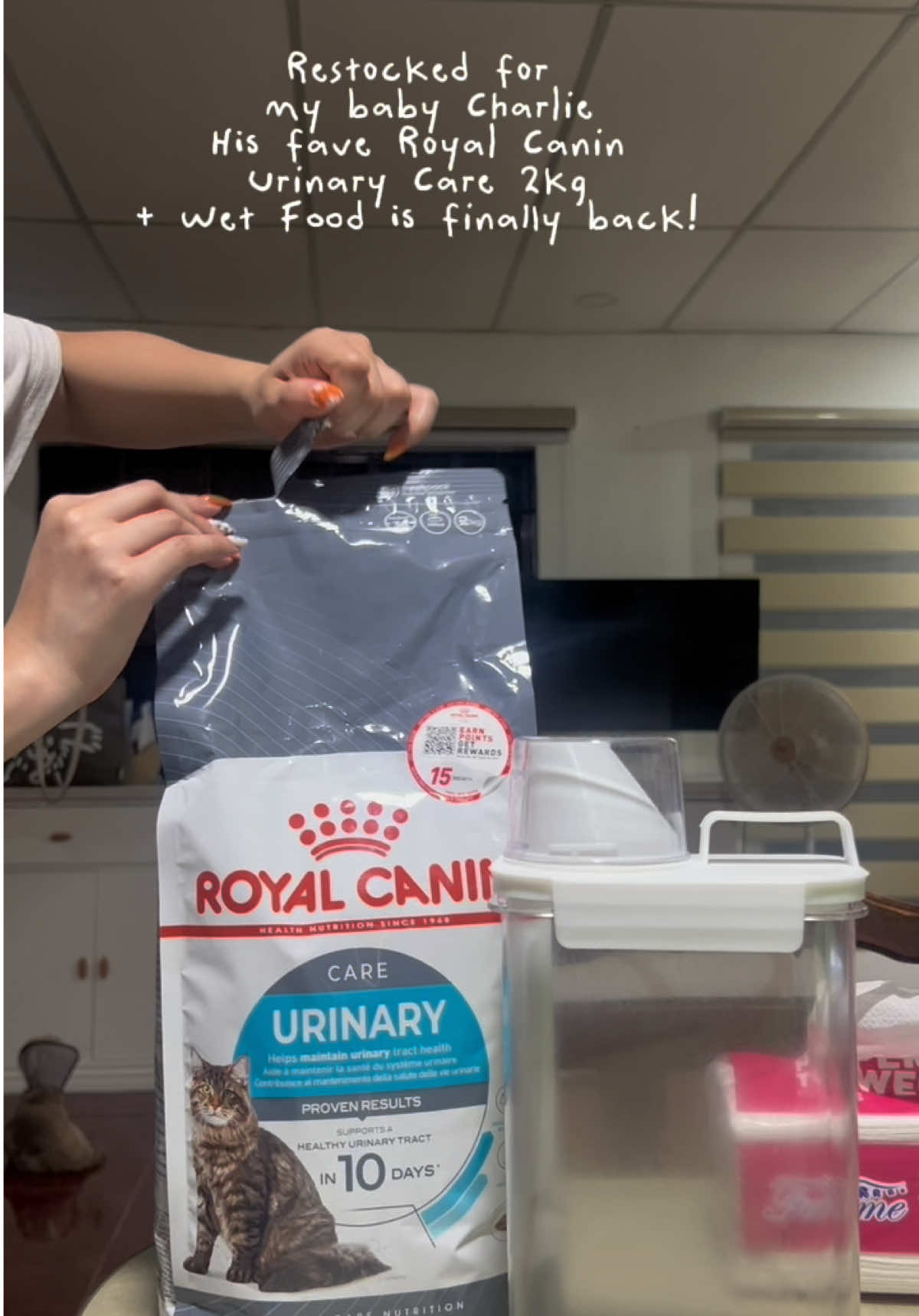 Restock day for my little Charlie 🐶✨ Refilling his dry food and wet food stash 💕 We got Royal Canin Urinary Care 2kg to keep his tummy and urinary health in check! Because a healthy cat is a happy cat💖🐾 #cat #catessentials #royalcanin #catlover #tiktokmademebuyit 