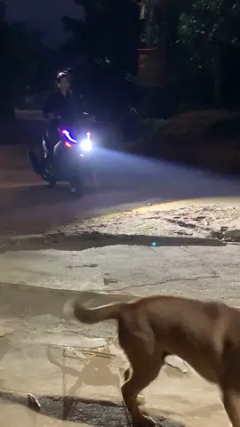 Xe cho mẹ đi chợ 😋#CapCut #ab125 #abdokieng 