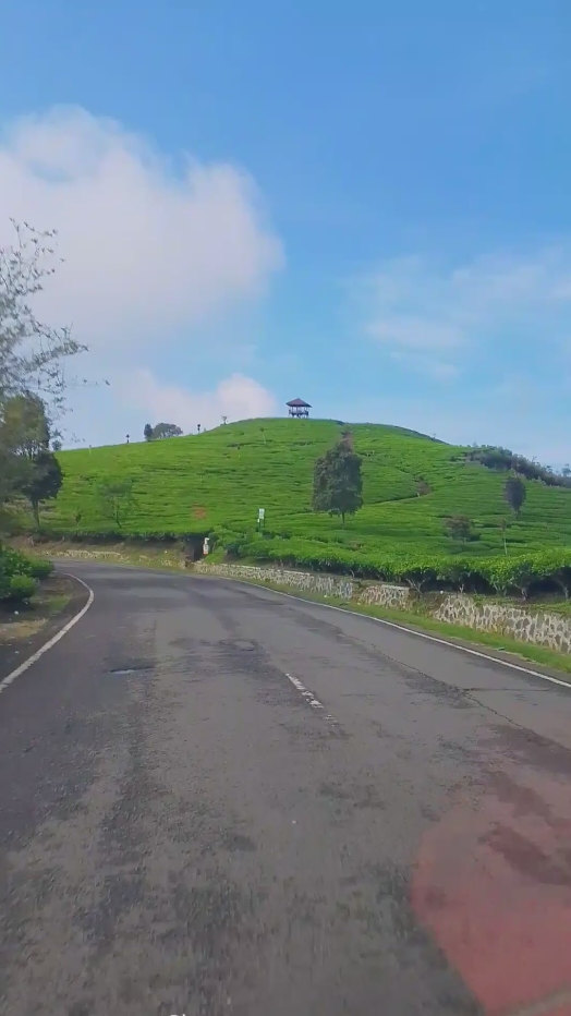 lagu pangedulan😅😅 #cikatuhhaigeurahudang  #laguviral2025  #lagusundaindia  #lagulucu #lagufyp 