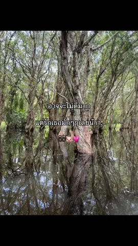 #เทรดวันนี้ #เธรดรักแฟน #เปิดการมองเห็น #แท็กแฟน @My ที่แปลว่า ของฉัน 🌷🌷 