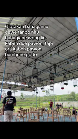 Tetep sogon mania di era gempuran manuk guedi guedi #fyp #lewatberanda #xyzabc #sogonmania #pecintasogonindonesia 