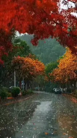 🍂autumn #music #fyp #keşfet 