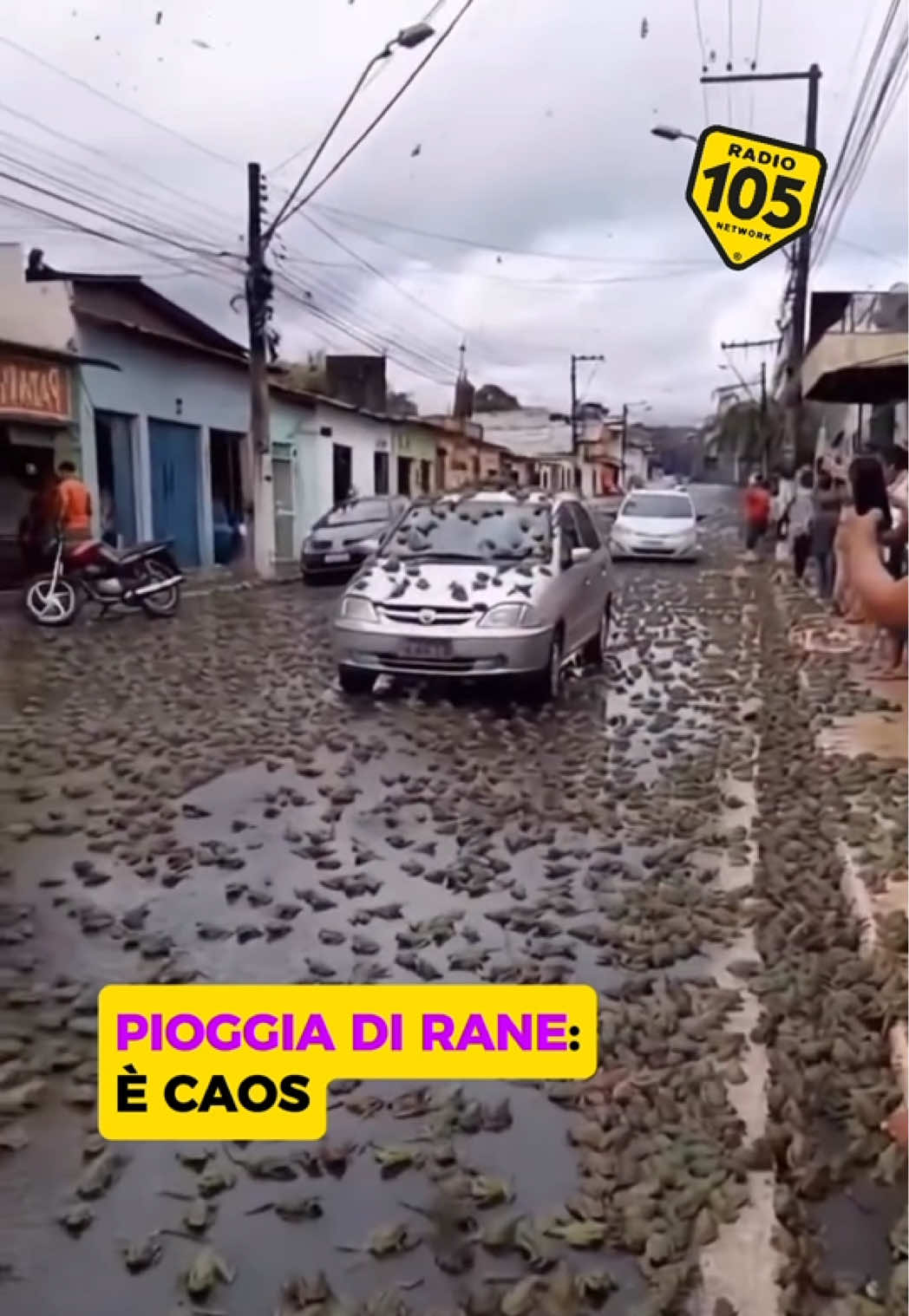 🌧️🐸 Pioggia di rane Sui social sta circolando un video sorprendente che mostra quello che sembra essere una vera e propria “pioggia di rane” con centinaia di anfibi che cadono dal cielo e invadono completamente le strade.  Anche se nella storia esistono casi reali di piogge di animali causate da fenomeni meteorologici estremi, la dinamica così massiccia e coordinata di questo video è eccezionale. Sarà AI? 😂🤨 Continua a seguire @radio105 per non perderti i prossimi contenuti! 📹: noticiacolon #radio105 #rane #davedere 