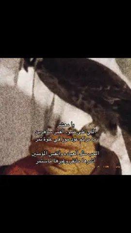 #شيلات #قصيد #you #صقر 