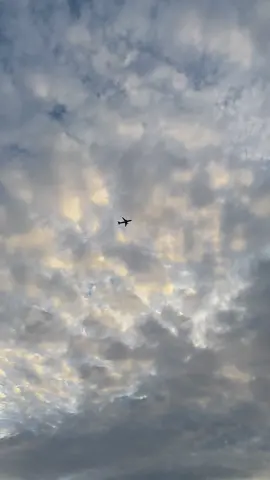 Seberapa dalam sakit itu nona ? #4u #lagutimur 