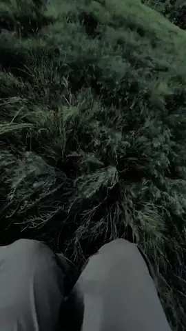 the winner takes it all🎧🖤 #foryou #lyrics_songs #fypシ゚ #lyrics #song 