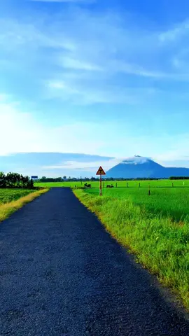 Bình minh trên quê tôi Tây Ninh ☺️#tayninh70❤️ #chilltayninh📸 