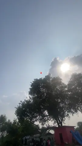 Puri Tara nivaunga❤️‍🩹🥹 #lurey #Part103 #foryoupage #butwalmuser #flypシ 