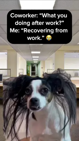 🫥 #meme #work #life #coworkers #DailyRoutine 