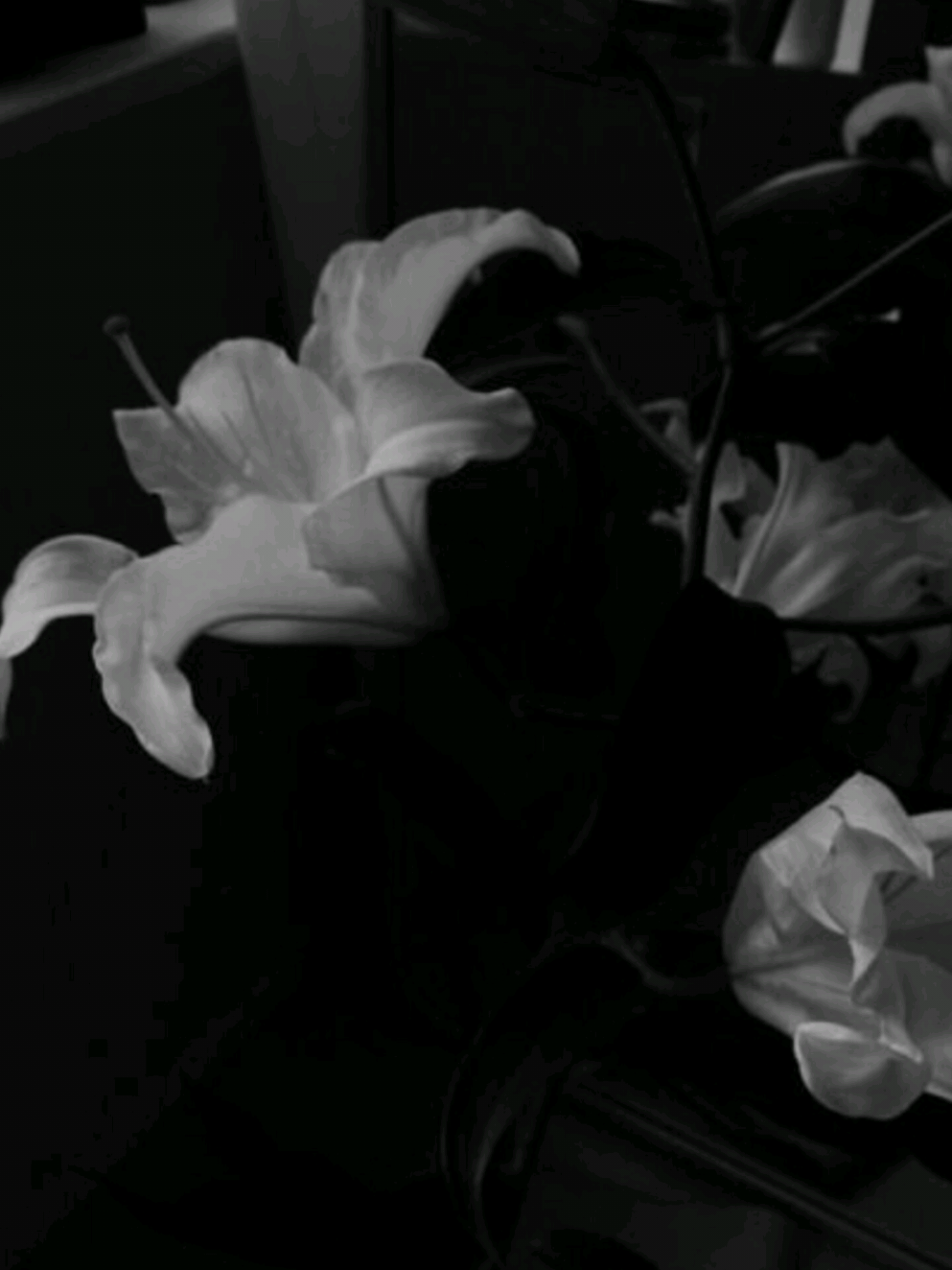 ㅤ #viral #fyp #foryoupage #foryou 