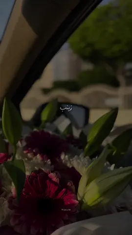 🌸                         #متباركين #مولد_السيدة_زينب #باسم_الكربلائي #اكسبلورexplore #متباركين_يا_شيعة_؏ـلي🦋💕 