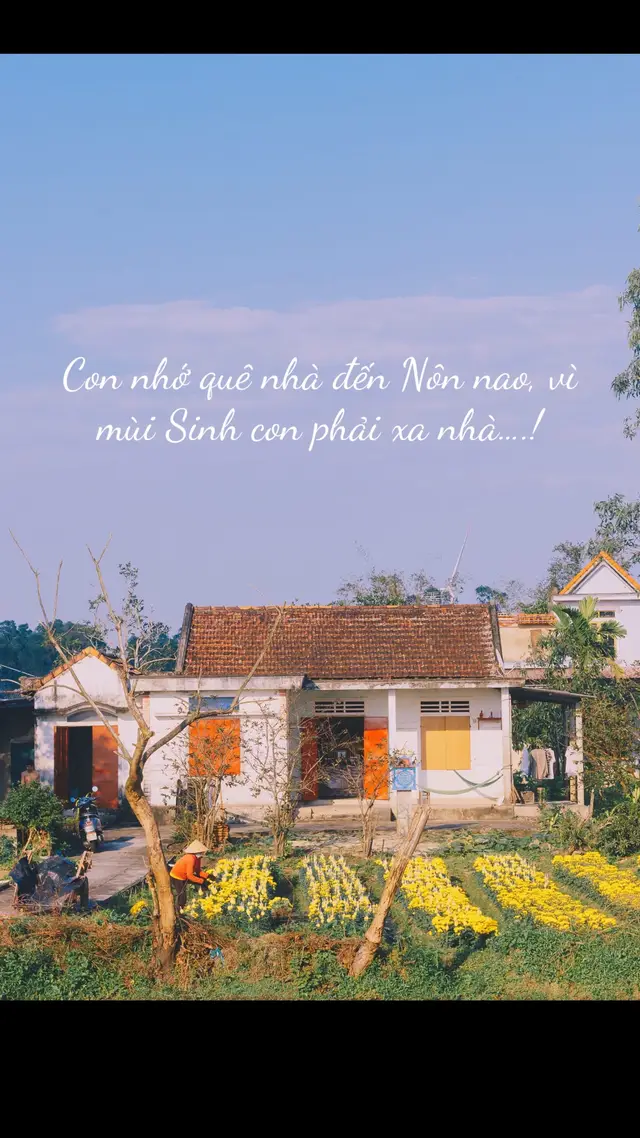 Chúc mọi người buổi tối vui vẻ hạnh phúc bên gia đình nhỏ,,?quảng nam quê hương tôi…!