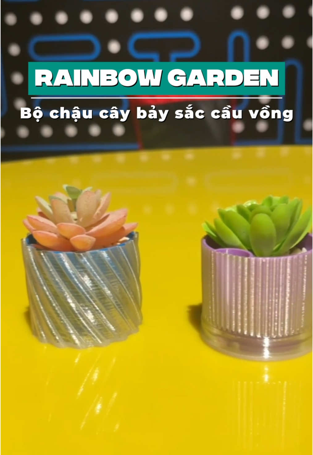 RAINBOW GARDEN – Sắc màu của sự sống xanh 🌈 Từ chai nhựa tái sinh thành chậu cây nhỏ bé, mang hơi thở thiên nhiên và tinh thần sống xanh vào từng góc nhỏ. 🌿♻️ Mỗi gam màu – một niềm vui, một hành trình xanh bền vững. 💧 #GREEnfinity #RainbowGarden #TaiCheSangTao #SongXanh 