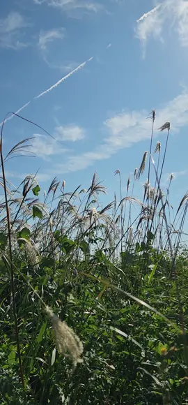 인천공항 해외 가을여행 이용시 주차대행 발렛파킹 예약 서비스는 좋은자리 주차예약 시스템 입니다 #인천공항 #가을여행 #해외여행 #인천공항주차대행 #인천공항발렛파킹 
