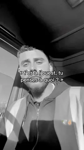 🕊️