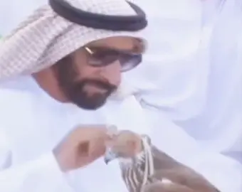 #اكسبلور explore#ابوظبي #طيور #جير_شاهين #عزام Yuqim Fi Galbi -... :لل يحتوي على