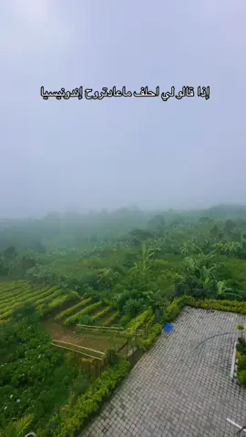 #اندونسيا_تصويري #شهر_عسل #بالي_اندونيسيا🇲🇨♥️ #العشق♥️في♥️بالي🥰 #اندونسيا_بالي😭❤️❤️❤️ 