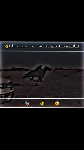 #تصميم_فيديوهات🎶🎤  #مصمم،، #صِےـلےـوِحًے 