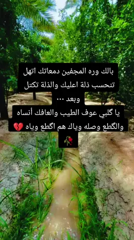 #ذواقين__الشعر_الشعبي #متابعه_ولايك_واكسبلور_فضلا_ليس_امر #احبكم_يا_احلى_متابعين💗 #حسابي_جديد 