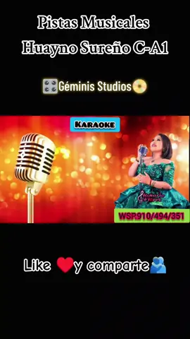 #huaynosureño #rosarioflores #tepidounaoportunidad #karaoke #pista 