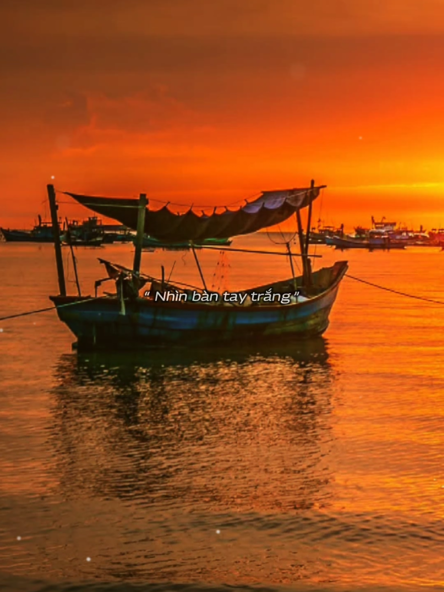 Ngàn lời xin lỗi vì đã làm lỡ thanh xuân của em... [ Anh Đâu Dám _ Đinh Đại Vũ ] #anhdaudam  #dinhdaivu  #nhacbuontamtrang  #maucapcut  #thanham1991 