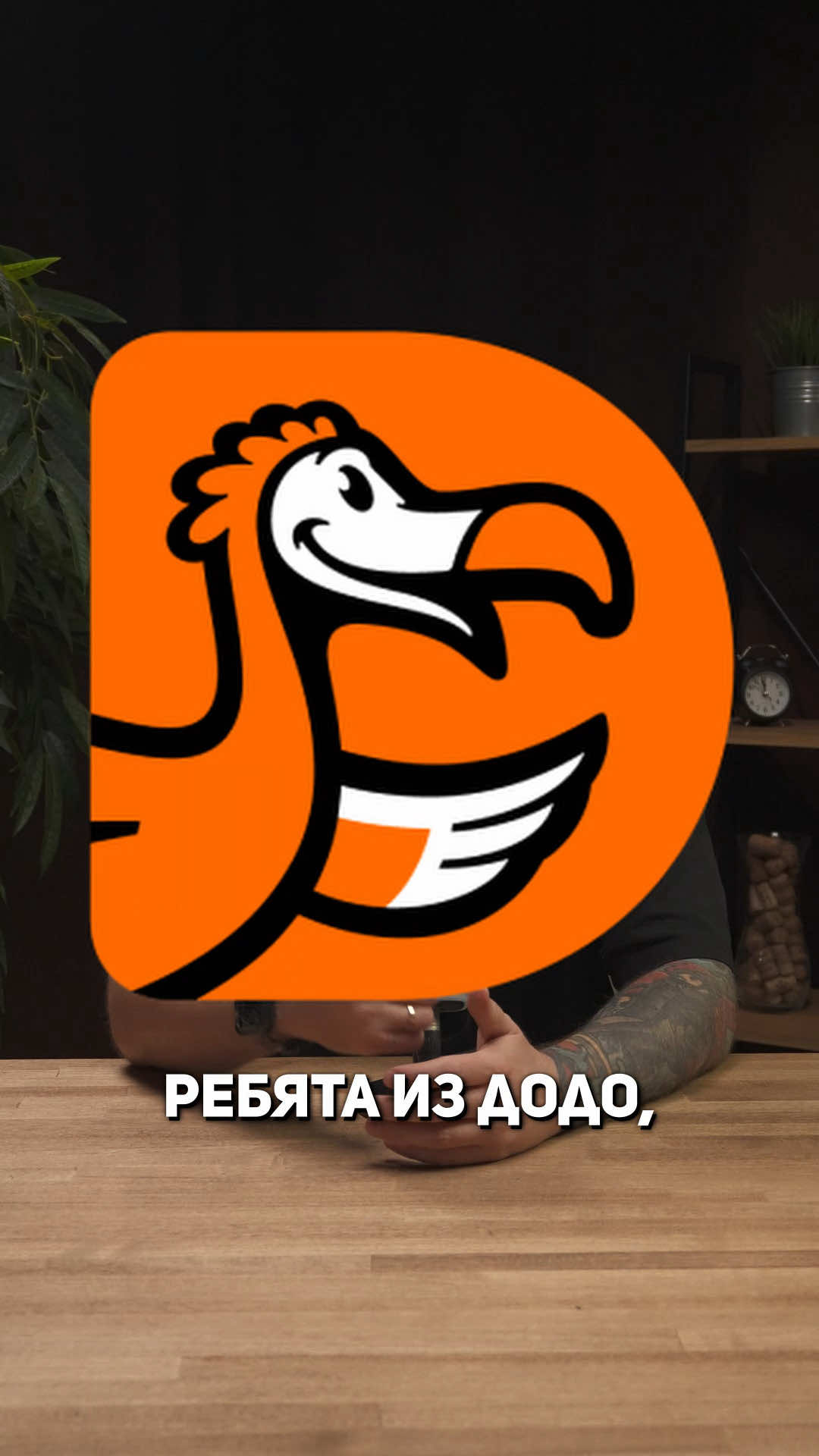 Додо тихо совершают революцию.
