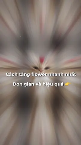 Cách đơn giản và hiệu quả cho người mới xây kênh#xuhuong #1k #tangflower #thanhcong #tuongtactiktok 
