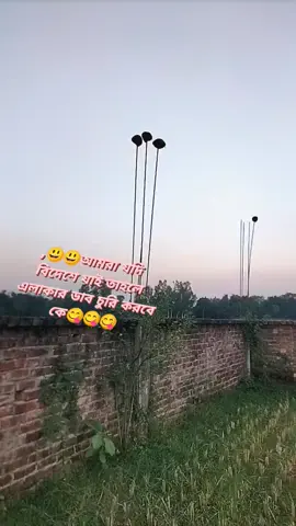 ডাব চুরি নেশা