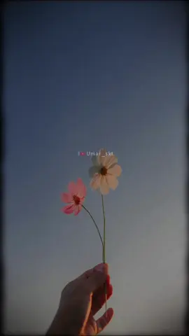 SubhanAllah ❤️❤️  #peerajmalrazaqadri #viral #fyp #likе #islamicvideo 
