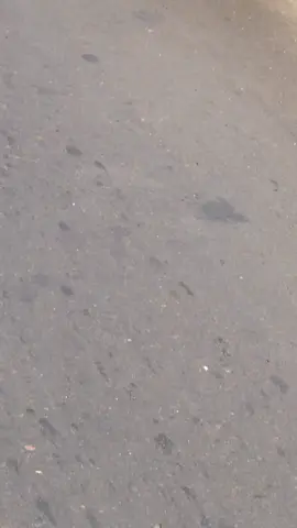 🤩🤩#fypviralシviral #vixionold #vixionkomorodstyle #vixionroadrace #vixion150 