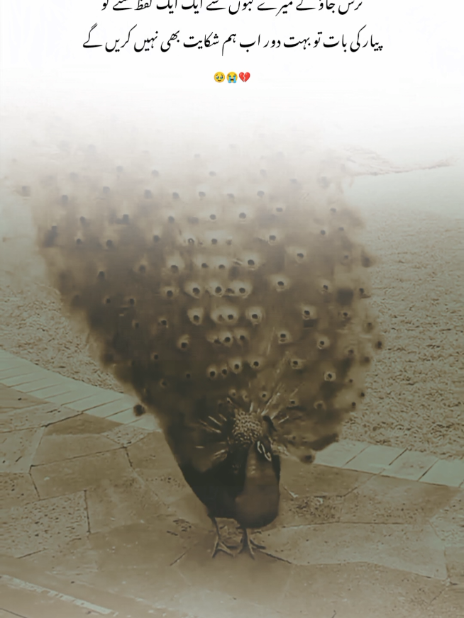 schiii yrr 🥹  #virlvideo #line #unfrezzmyaccount #foryou #poetry 