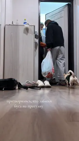 пранк челлендж. Мама сказала больше не нервировать бедного буса 