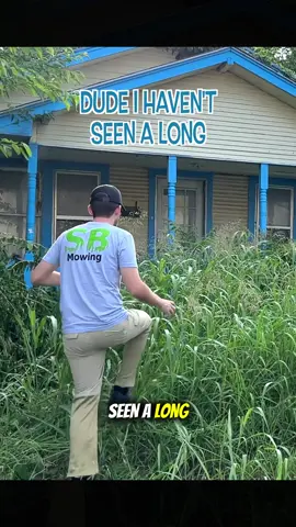 Locals tell me my efforts here mean A Lot #lawncare #mowing #mowingthelawn #lawnmowing #cleaninggarden 