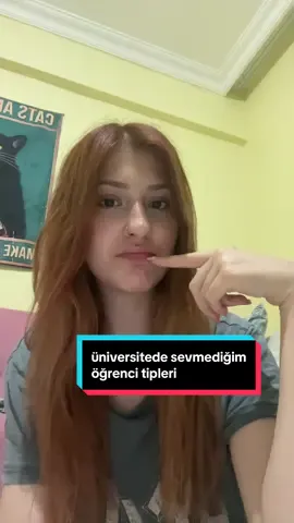 ben sevmiyorum abicim
