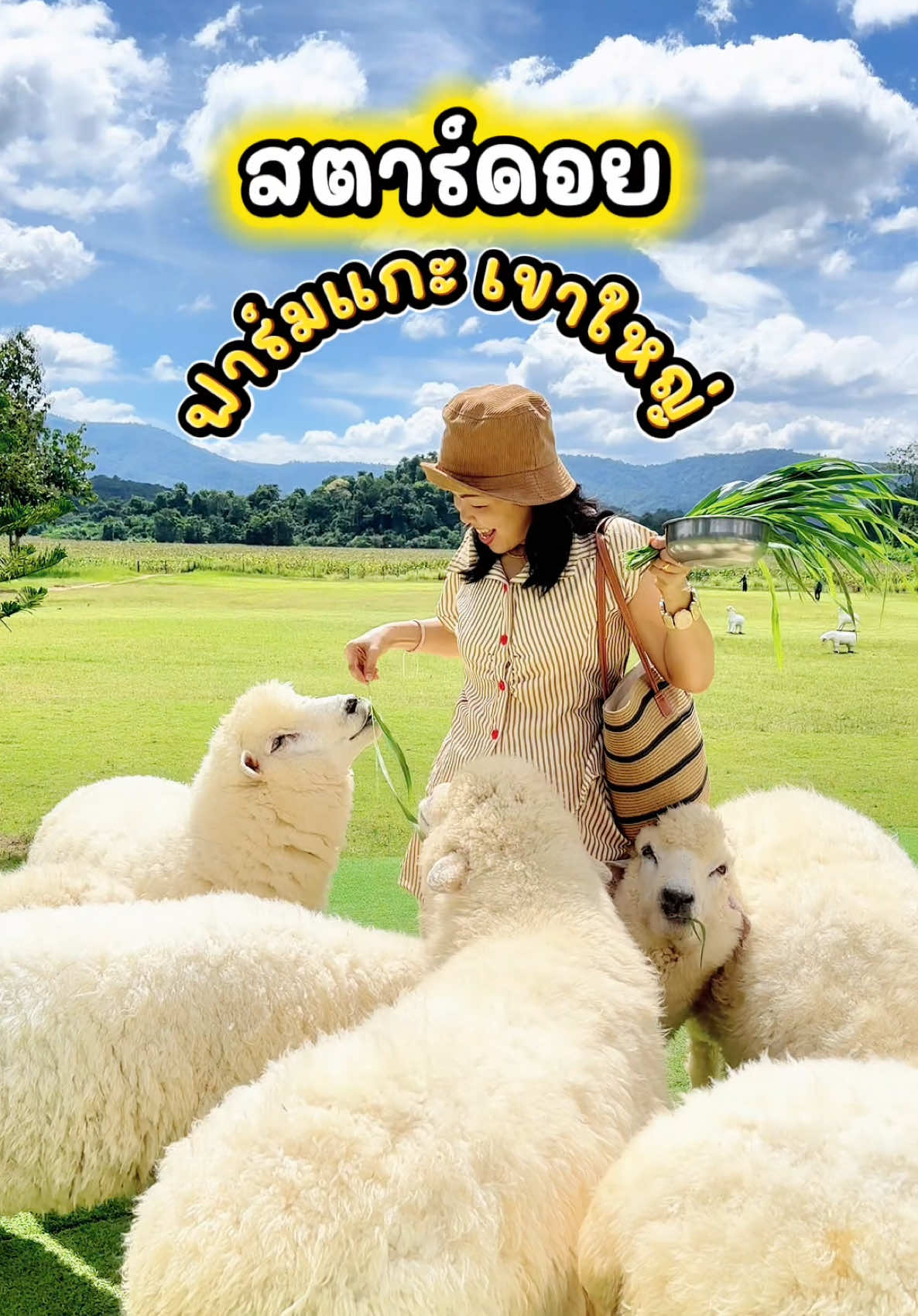 StardoiFarm Khaoyai สตาร์ดอยฟาร์มแกะเขาใหญ่  เที่ยวฟาร์มแกะเขาใหญ่ มีคาเฟ่ อาหารเครื่องดื่ม มีขี่ม้า  พายเรือคายัค บรรยากาศดี ร่มรื่น แนะนำจ้า #สตาร์ดอยฟาร์ม #สตาร์ดอยฟาร์มแกะเขาใหญ่ #ที่เที่ยวเขาใหญ่ #ฟาร์มแกะเขาใหญ่ #เกตพากิน @เกตพากิน  @เกตพากิน  @เกตพากิน 