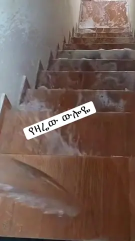 #ጎንደር❤ጎጃም❤ወሎ❤ሸዋ #የመዳምቅመሞች #ዱባዮች🇦🇪🙏 #ሸዋጠቅላይግዛት💚💛❤ #ሳውዲ_አረቢያ_ 