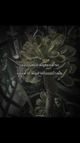อยู่กับฉันมันเป็นยังไง☹️🙁 - #แฟน #เธรด #แท็กแฟน #ลงสตรอรี่ 
