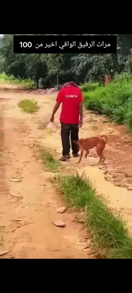 الرفيق الوافي اخير من 100#✌️💪❤️🔥✌️ 