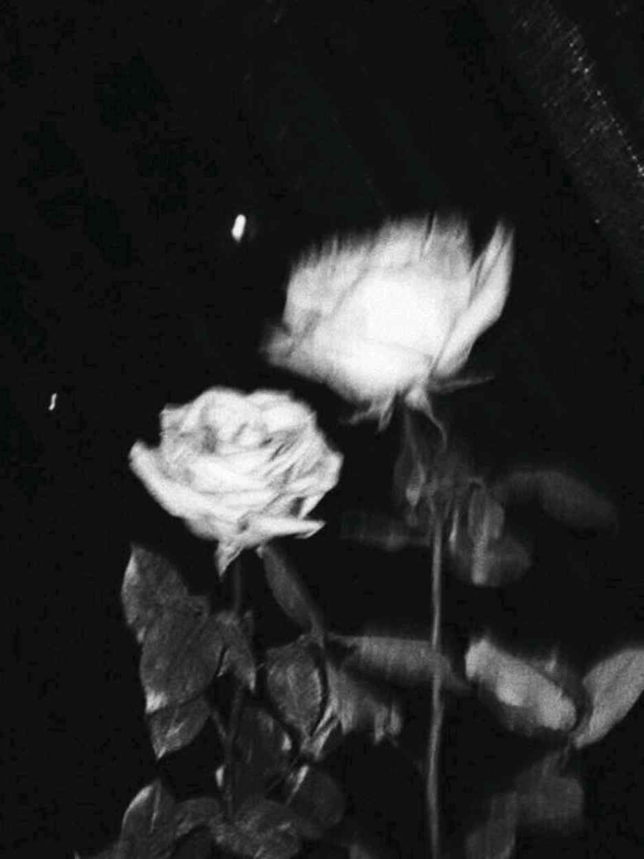 ikinci video ok? tutmazsa 🥰🥰 #whc #suho #sieun #whc #suho