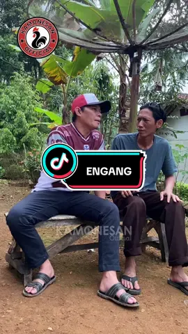 ENGANG ]- Baju Jersey yg dipake Kang'Brad ada di etalase Profil,atau langsung aja Gabung di Live KAMONESAN Jam 10:00wib & 22:30 setiap hari. @SUKSES #fyp #komedi #kamonesan #bajujersey