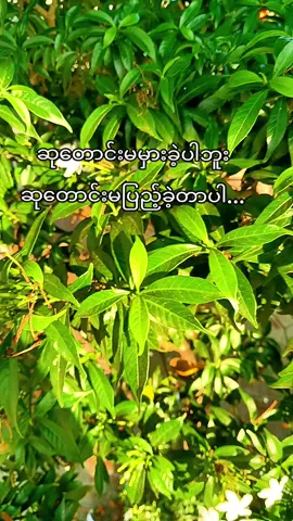 ဟူးးးးးး#tiktok #foryou #ငါသေမှပဲfypပေါ်ရောက်မှာလား😑😑 #fypage #foryou 