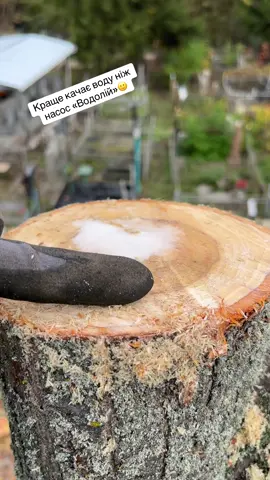 Спил дерев ✅095-167-84-17 Павло #харків #arborist #treework #arboristlife 