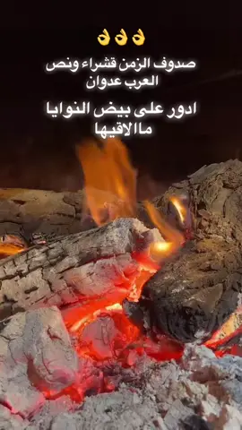 ##########اكسبلور 