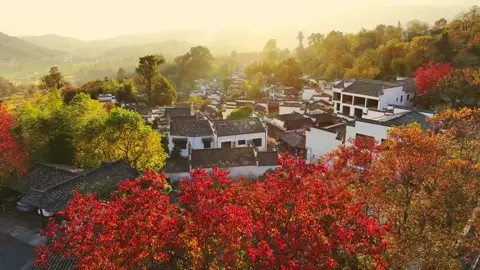 Điều đẹp nhất trong đời không phải chỉ là gặp đúng người, mà là cùng người ấy đi qua bốn mùa. 📍Tháp Xuyên, nằm ở Y huyện, Hoàng Sơn, An Huy. #xoaiuc #tinhyeu #khoanhkhackhiyeu #canhdeptrunghoa #trunghoa 