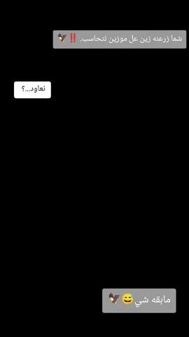 ✌🏻🦅@أمير عادل 📿🇮🇶 @¹⤹♯̶﮼ ࢪعـودي  🇫🇮🍃⤹:: @ال شيخ @ابو الشبل🦅🌪️ @حمودي الحلاوي @سيف آل علي @كروري @