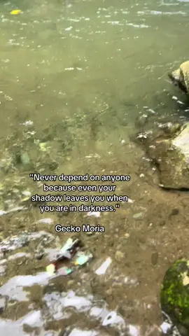 Gecko Moria #onepiece #onepiecefan #sunset #fypシ゚ #foryourpage 