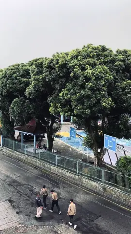 moehi after rain#fypage#smadiwa#wonosobo 